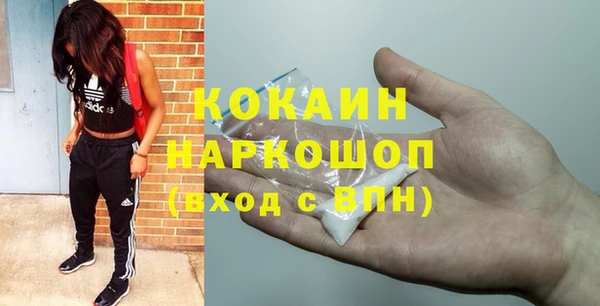 гидра Няндома