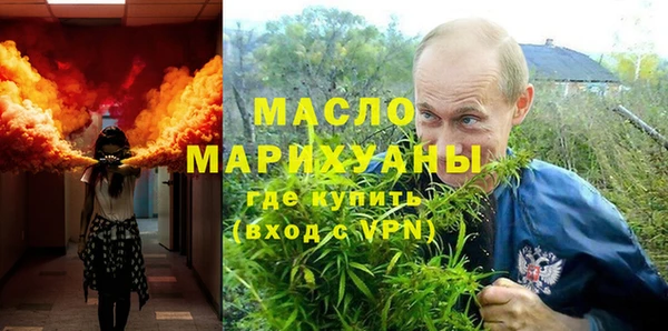 гидра Няндома