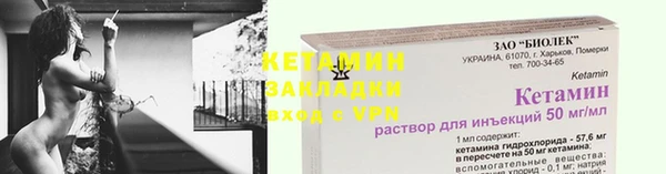 гидра Няндома