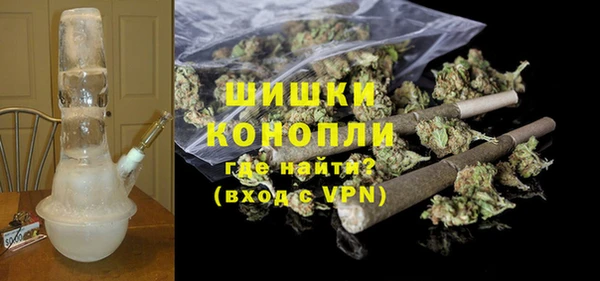 гидра Няндома