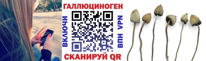 Псилоцибиновые грибы GOLDEN TEACHER  Электроугли 